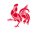 wallonie_coq_fb_
